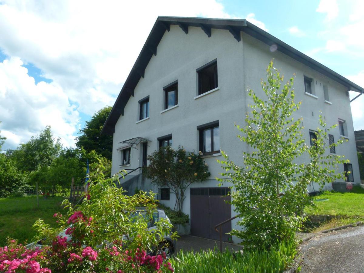 Villa Detente Dauphinoise Saint-Andre-le-Gaz Buitenkant foto