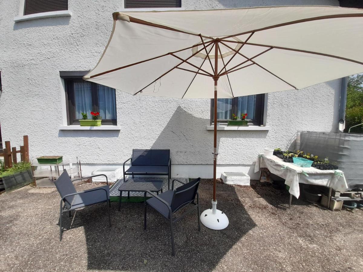 Villa Detente Dauphinoise Saint-Andre-le-Gaz Buitenkant foto